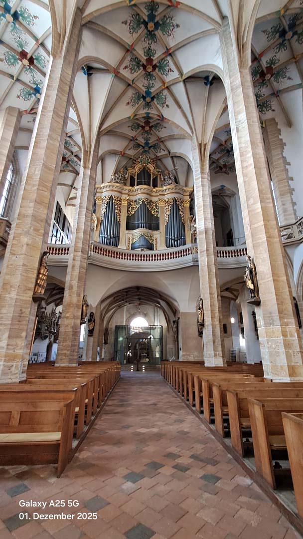 02 DomFreiberg